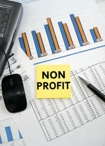 Non Profit Auditors