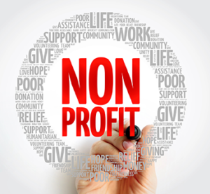 Nonprofit auditors